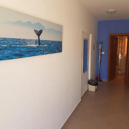 Adriapag Apartment *