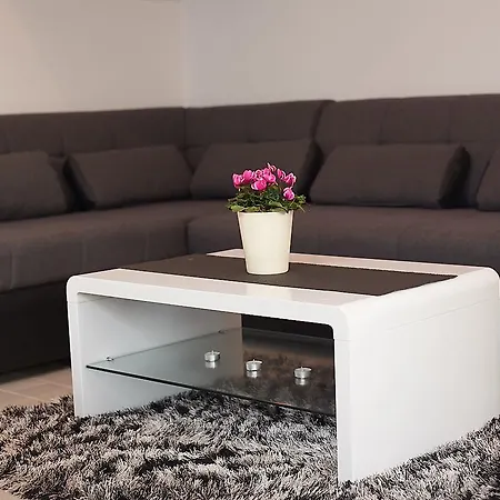 Adriapag Apartment